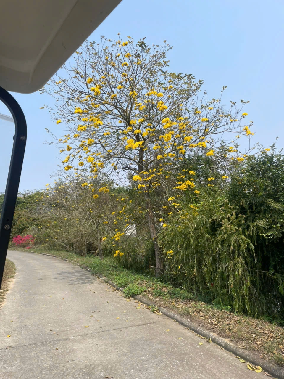 THÔNG BÁO TẠM DỪNG BOOKING NGÀY 29 VÀ 30/03/2025